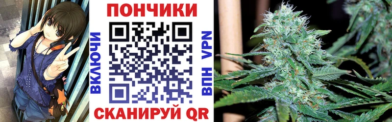 Бошки Шишки гибрид  закладка  Верещагино 